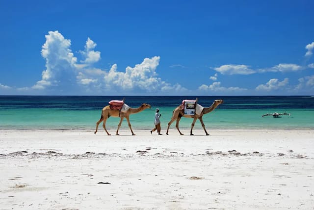 Viaggio di gruppo Kenya