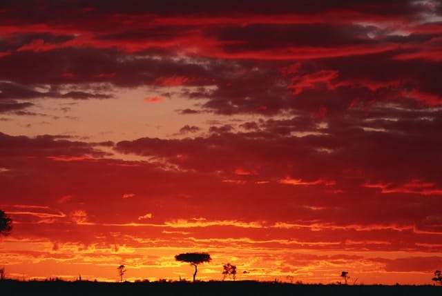 Viaggio di Gruppo in Tanzania e Mafia Island