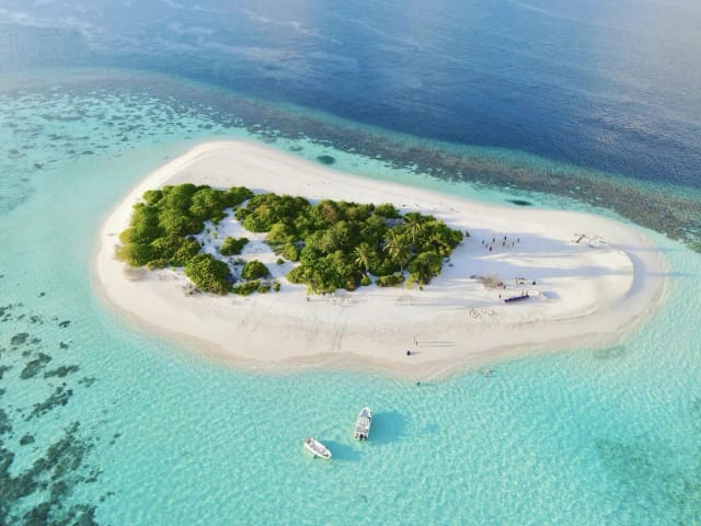 Maldive Coral Reef Adventure