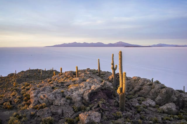 Viaggio di Gruppo in Perù e Bolivia