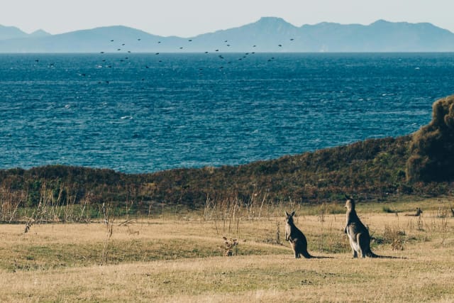 Viaggio di gruppo in Australia