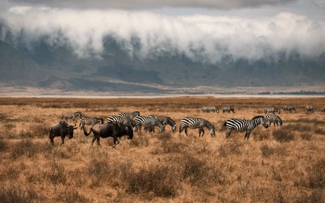 Viaggio di gruppo in Tanzania