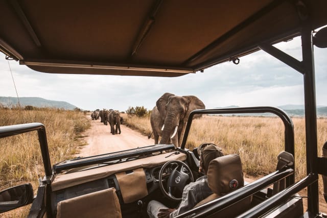 Viaggio di gruppo Kenya