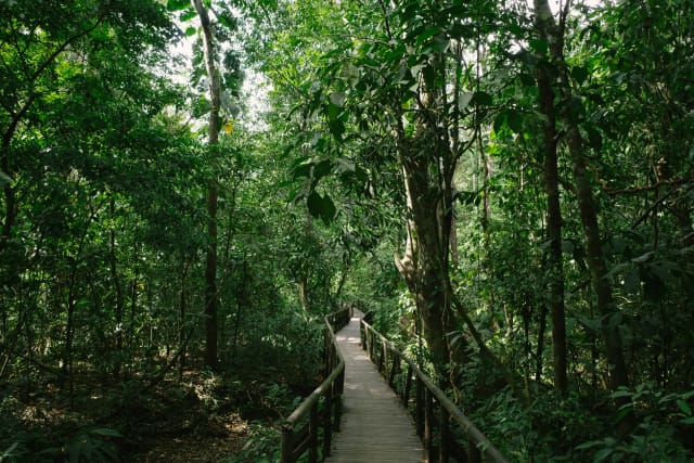 Zanzibar