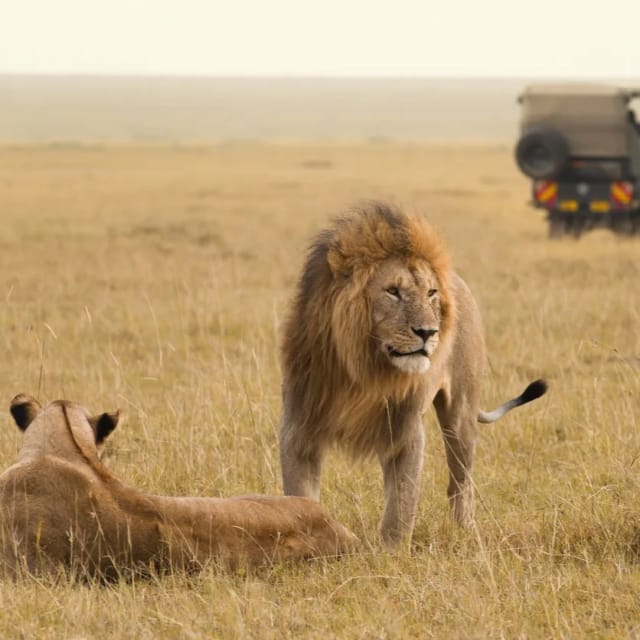 Viaggio di gruppo in Kenya