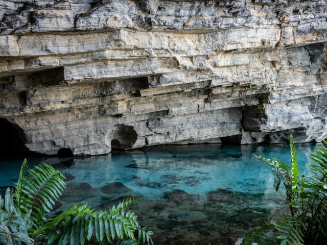 Viaggio di gruppo in Brasile
