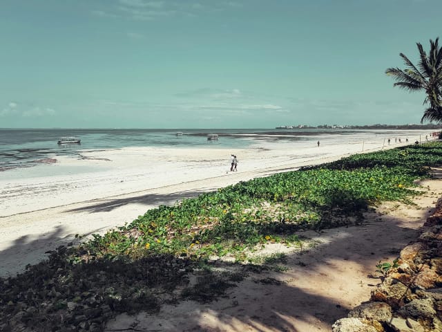 Viaggio di gruppo in Kenya