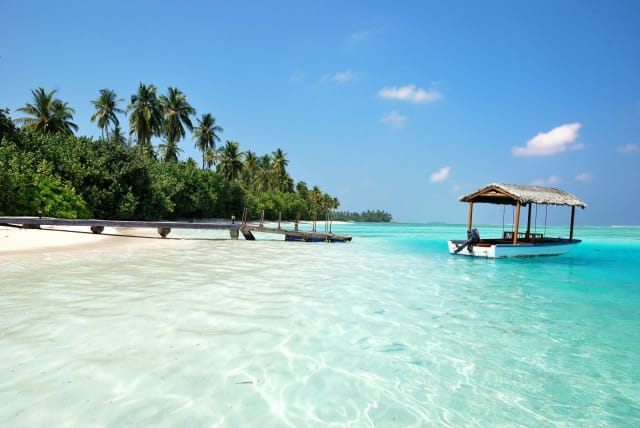 Maldive Coral Reef Adventure