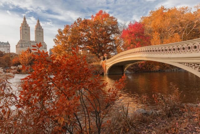 Viaggio di gruppo a New York