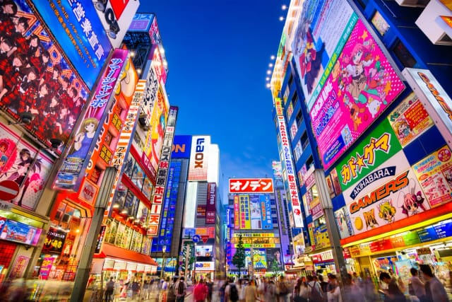 Tokyo Safari con Edo