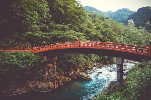 Tokyo Safari con Edo