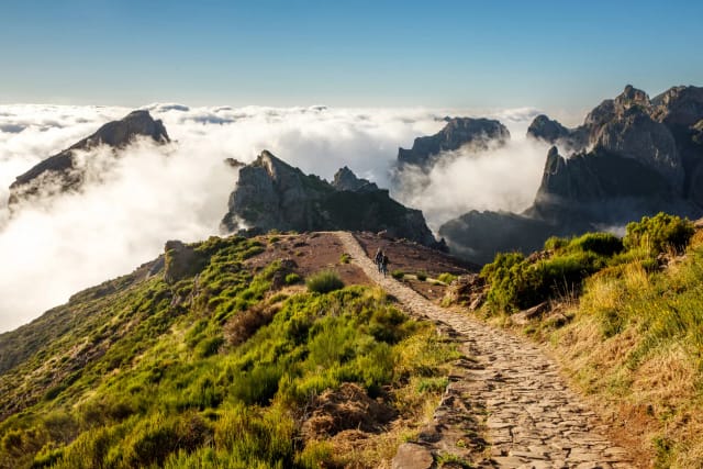 Madeira con Mente Nomade