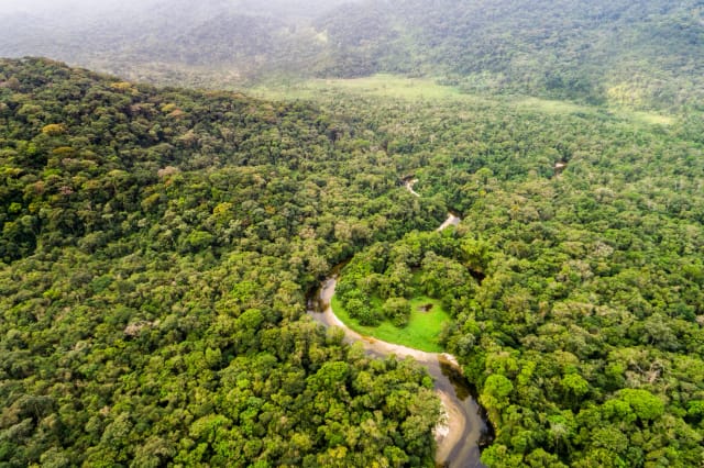 Viaggio in Colombia e Amazzonia