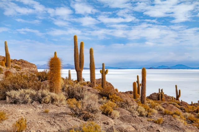 Viaggio di gruppo in Bolivia