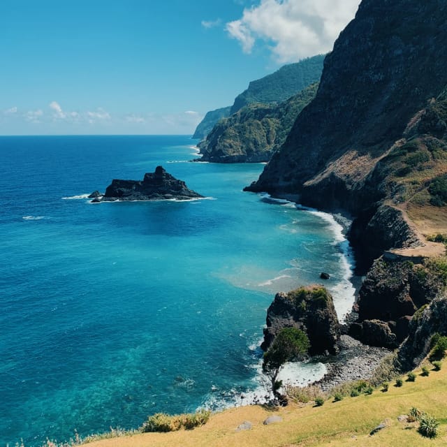 Madeira Wild