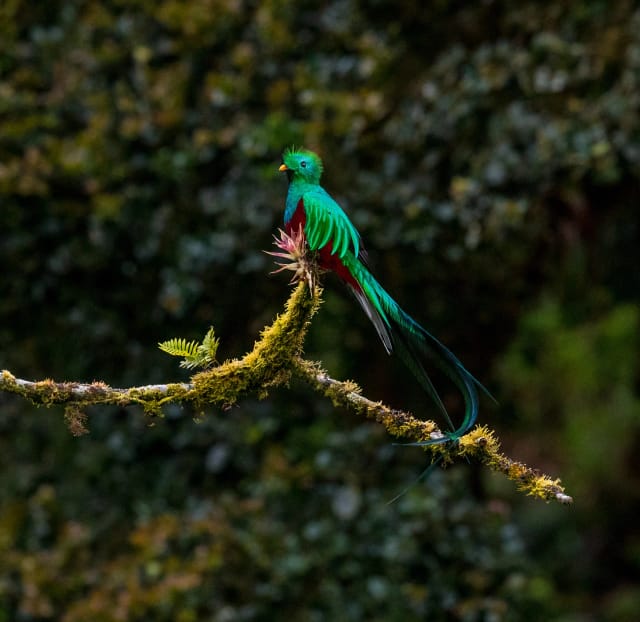 Viaggio di gruppo in Guatemala