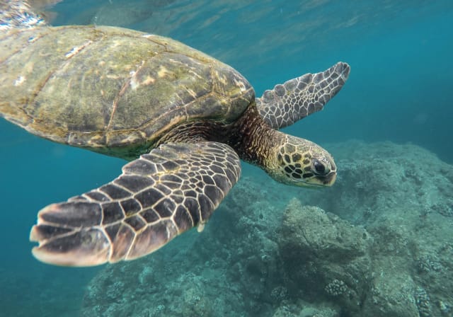 Viaggi di gruppo Ecuador e Isole Galapagos