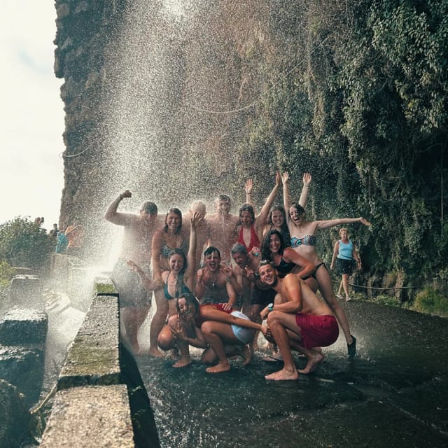 Madeira Wild