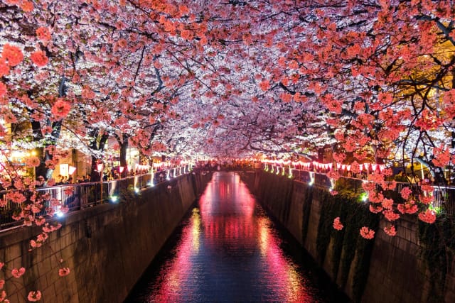 Viaggio di gruppo in Giappone: Tokyo, Kyoto & Osaka