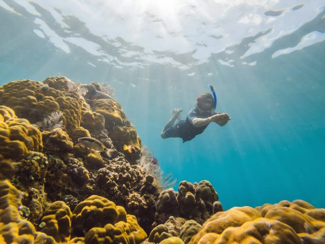 Viaggio di gruppo Fuerteventura
