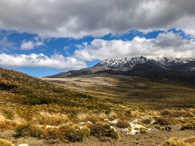 Viaggio di gruppo in Nuova Zelanda