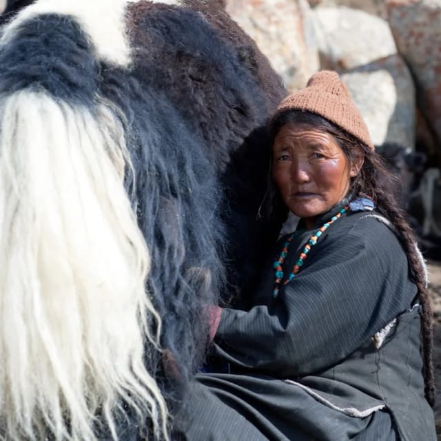 Ladakh: tra montagne e monasteri con Sara Melotti
