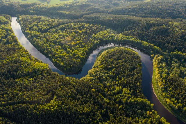 Viaggio di gruppo in Brasile Rio e Amazzonia