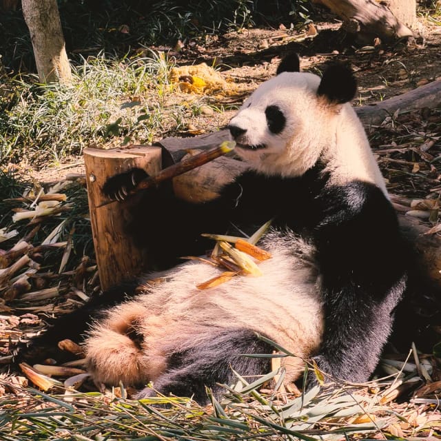 Viaggio di gruppo in Cina